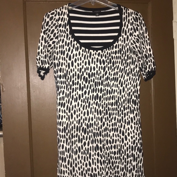Dot and Stripes Sweater Dress - Picture 1 of 4